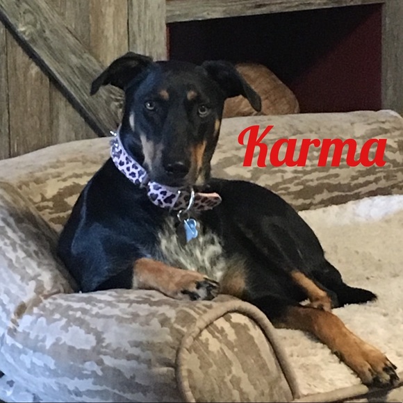 Meet your Posher, Tina - Picture 13 of 16